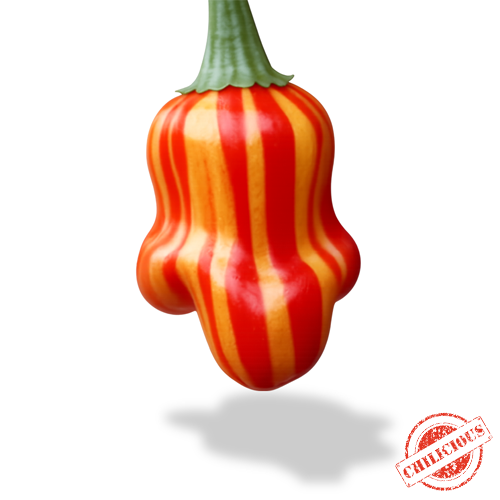 Jungpflanze Zébrange